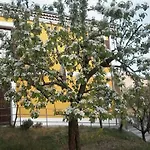 Rosina Bed and Breakfast Satriano di Lucania
