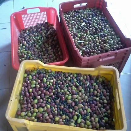 Bed & Breakfast Rosina Satriano di Lucania