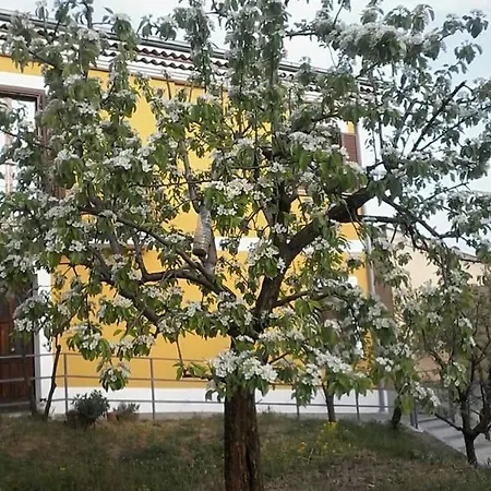 Rosina Bed & Breakfast Satriano di Lucania