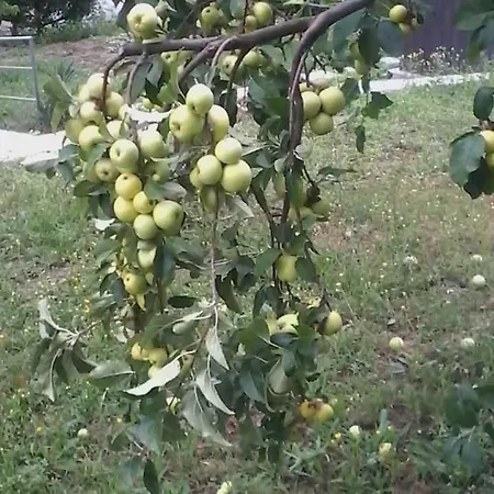 Rosina Bed & Breakfast