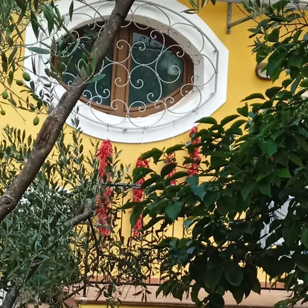 Bed & Breakfast Rosina 3*