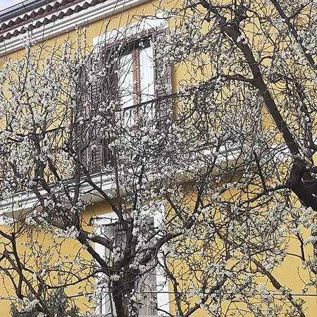 Bed & Breakfast Rosina Satriano di Lucania