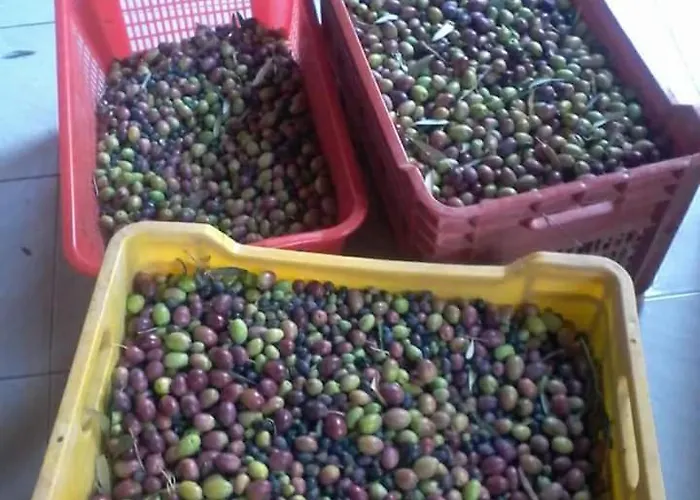 Bed & Breakfast Rosina Satriano di Lucania