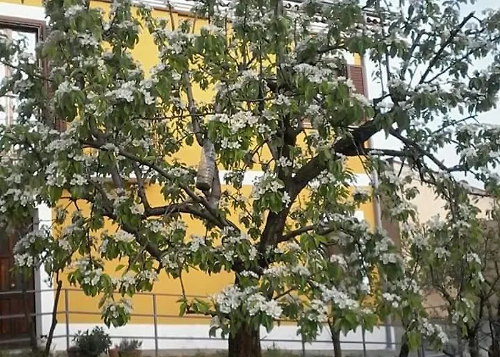 Rosina Bed & Breakfast Satriano di Lucania