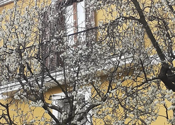 Bed & Breakfast Rosina Satriano di Lucania